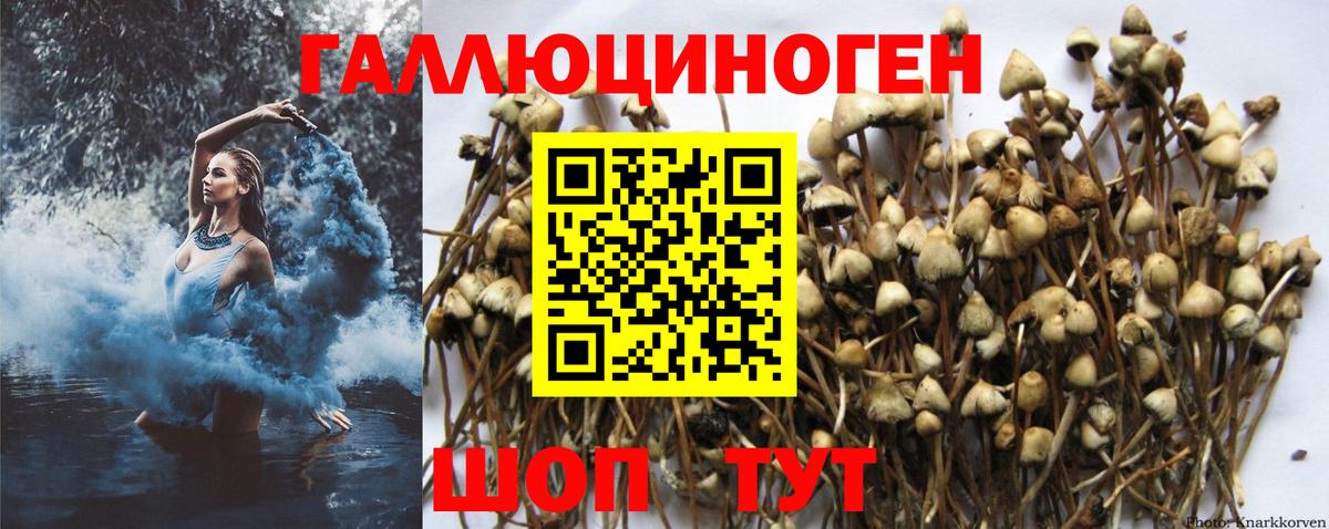 Галлюциногенные грибы мицелий Минеральные Воды
